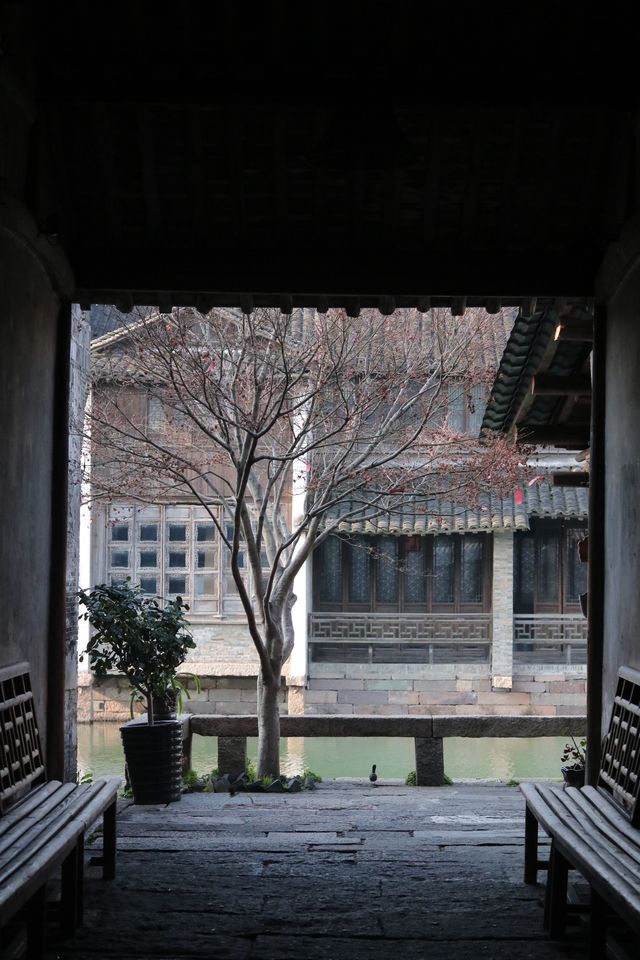 A Memorable Trip to Wuzhen