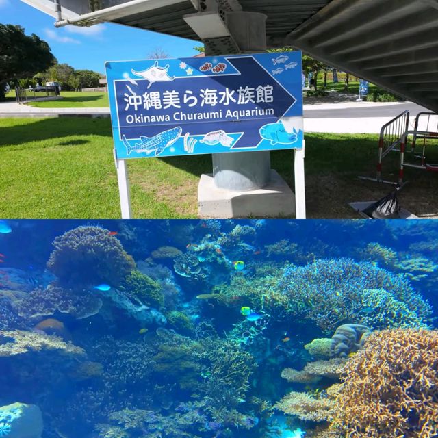 沖繩