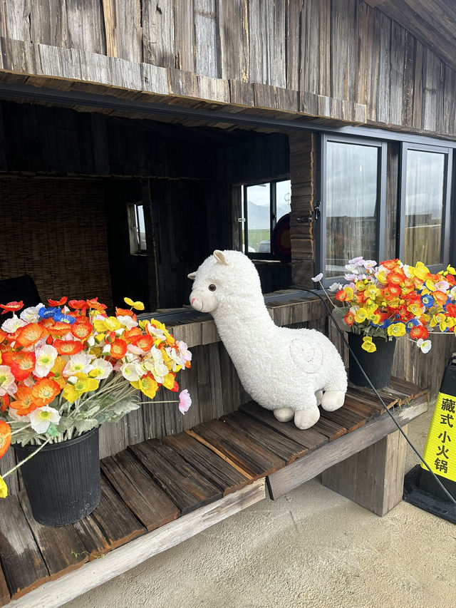 Shangrila Trip| 🌊 Napahai Lake – Shangri-La’s Seasonal Wonderland