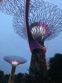 Light And Sound Show ที่ Gardens By The Bay