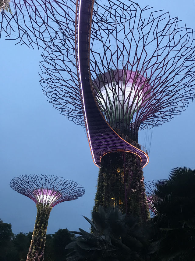 Light And Sound Show ที่ Gardens By The Bay