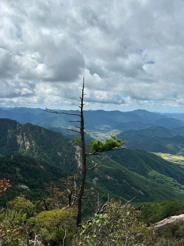 Hidden Gem Alert, Joryeong Mountain