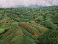 ขับรถเที่ยวหน้าฝน… ชมวิวถนนลอยฟ้า​ 