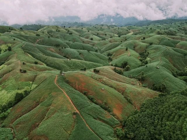 ขับรถเที่ยวหน้าฝน… ชมวิวถนนลอยฟ้า​ 