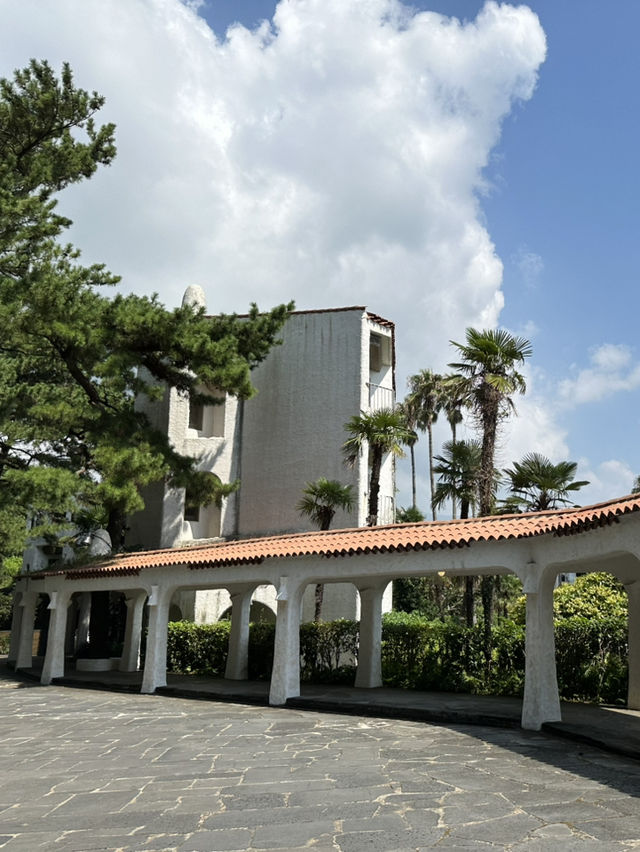 🌴 야자수와 소나무 사이, 바다를 품은 허니문하우스 카페