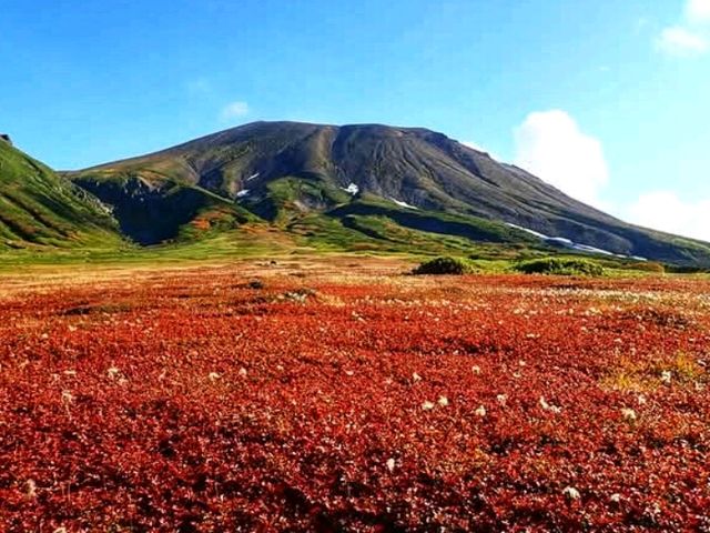 Daisetsuzan National Park: Hokkaido’s Wild, Untamed Heart