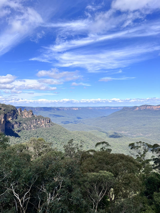 🍃【藍山國家公園 Blue Mountains National Park】🌿