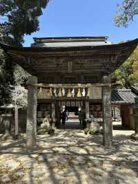 大大大推——福岡糸島一日遊 