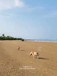 Brassiere Cozy beach - ประจวบคีรีขันธ์