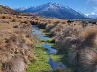 Ashburton Lakes (Hakatere Conservation Park)