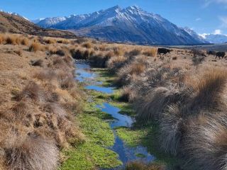 Ashburton Lakes (Hakatere Conservation Park)