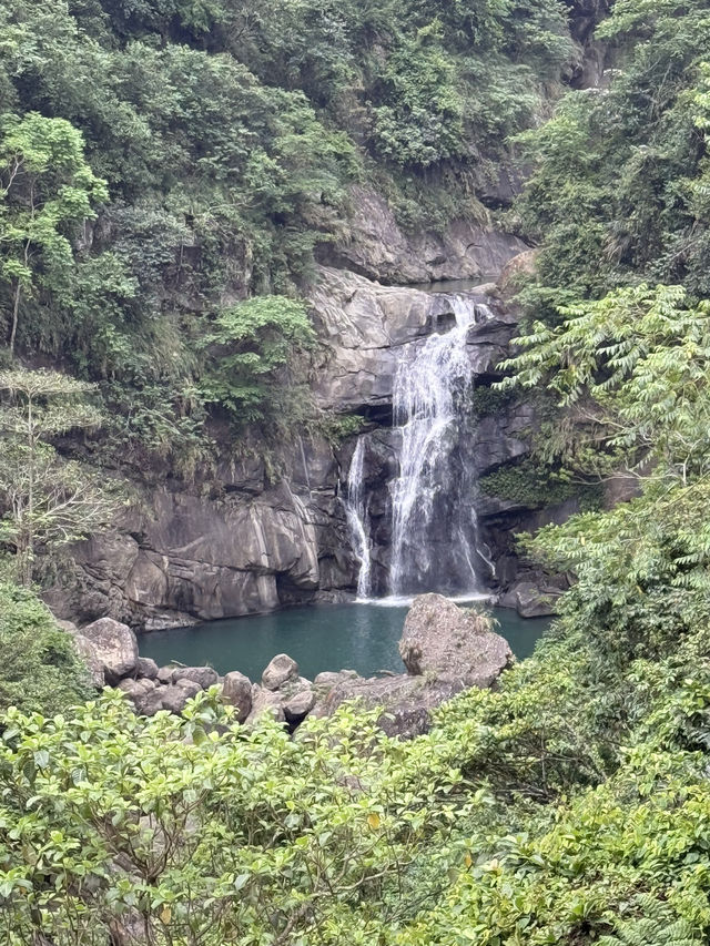 南投鹿谷｜鳳凰谷鳥園