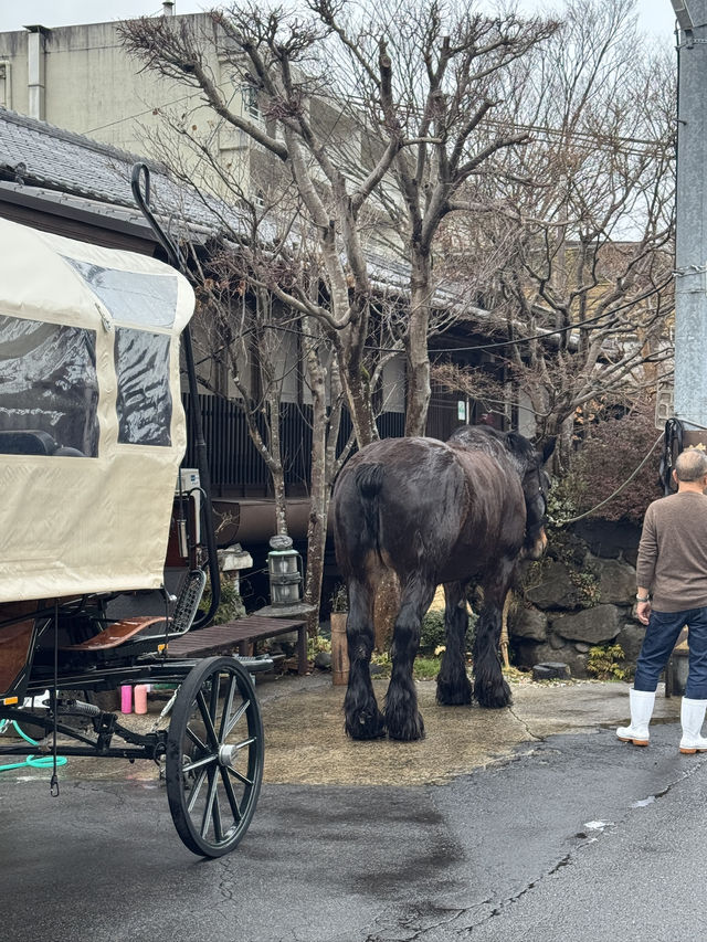 🏞️ 후쿠오카에서 유후인까지, 3박 4일 힐링 여행기