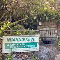 Ngarua Caves: Exploring a Super Underrated Underground Gem! 🦇✨