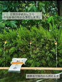 【京都】夏の京都で心と体を清める、下鴨神社の足つけ神事。ご利益と涼を求めて。