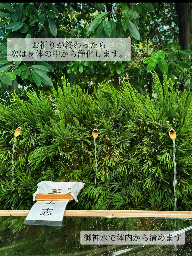【京都】夏の京都で心と体を清める、下鴨神社の足つけ神事。ご利益と涼を求めて。