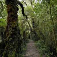 Karamea & Oparara Basin