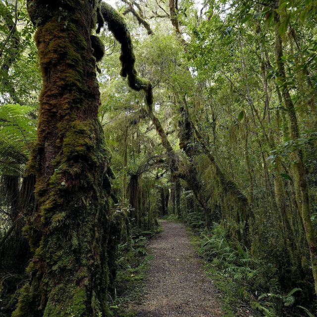 Karamea & Oparara Basin