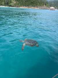 Redang island: Beautiful and magnificient island escape