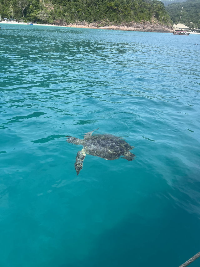Redang island: Beautiful and magnificient island escape