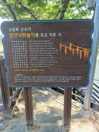 연못 위 고즈넉한 정자에서의 한가로운 산책