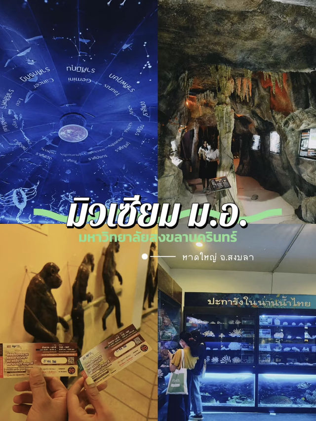 มิวเซียมหาดใหญ่ 