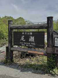 【尾瀬国立公園】湿原と高山植物に癒される、静寂のハイキング旅