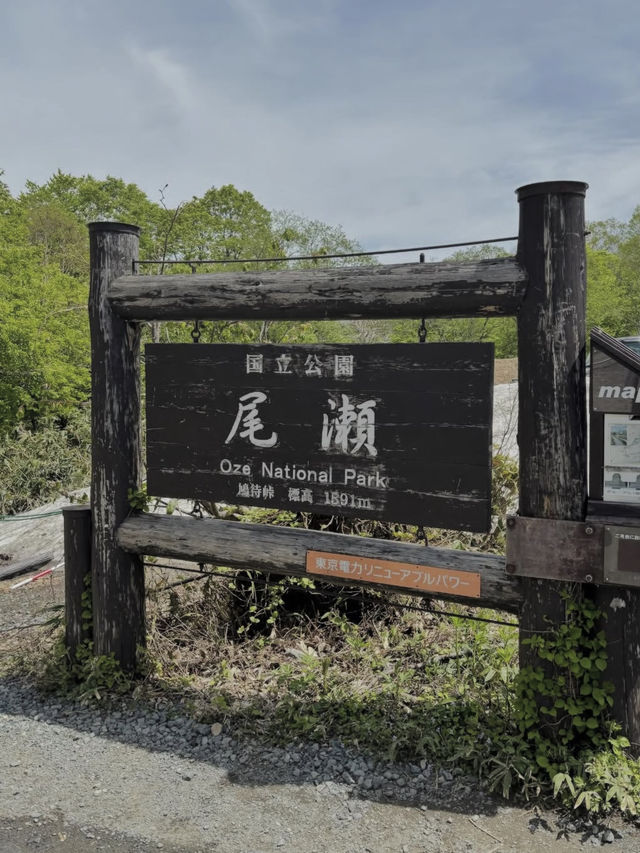 【尾瀬国立公園】湿原と高山植物に癒される、静寂のハイキング旅