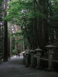 雲海と神秘に包まれる「三峯神社」で、心を整える山旅