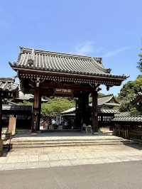 Summer Escape to Kamakura: Ancient Temples, Ocean Breezes & Hydrangea Magic