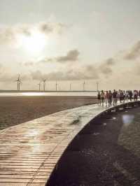 🌅 **Gaomei Wetland Day Trip Guide**