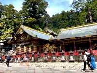 Unravelling the sacred animals inside the Toshogu Shrine