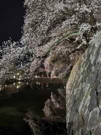 歴史と自然が調和する城下の憩い🌸 富山城址公園で静かなひととき