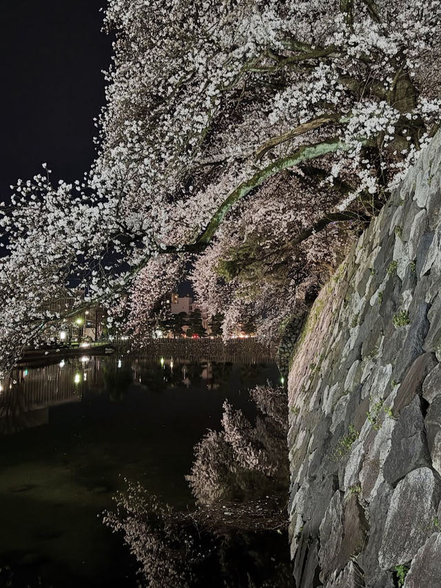 歴史と自然が調和する城下の憩い🌸 富山城址公園で静かなひととき