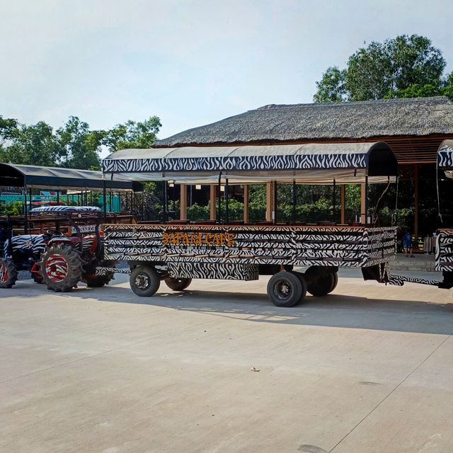 🦒 Safari Café – A Wild Little Escape in Novaworld, Phan Thiet
