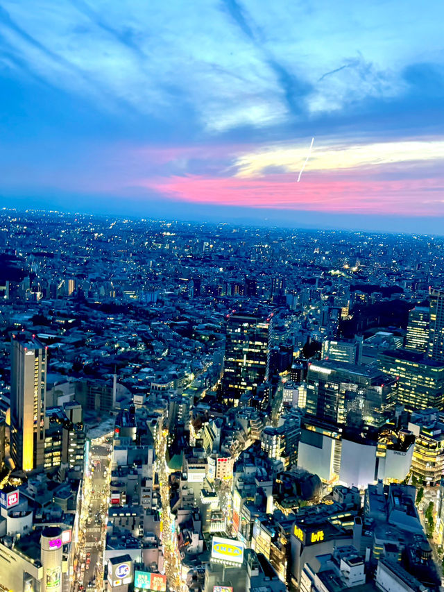 🇯🇵✨ 4D3N Tokyo Adventure Itinerary — First-timers Must Read! ✨🇯🇵