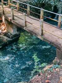 น้ำผุดเขาใหญ่