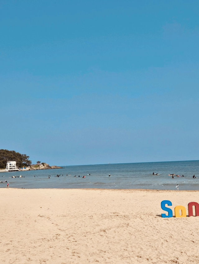 Songjeong Beach, Busan: A Laid-Back Haven for Surfers and Families