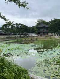 경복궁 그리고 광화문과 청계천 여행해봐요