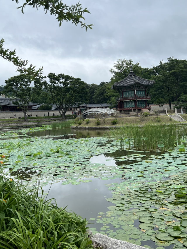 경복궁 그리고 광화문과 청계천 여행해봐요