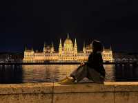 조용해서 좋은 도시, 부다페스트 🇭🇺