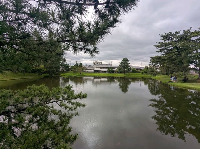 奈良 | 名勝舊大乘院庭園，放空的好去處
