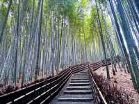 Arashiyama Bamboo Forest