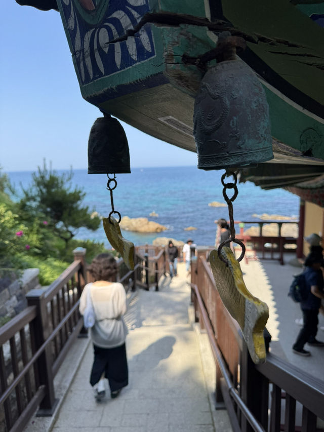 부산>강릉-양양 취향껏 다녀온 1박 2일 속성코스