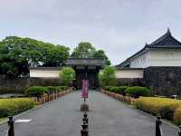 ชมรอบ Imperial Palace✨️