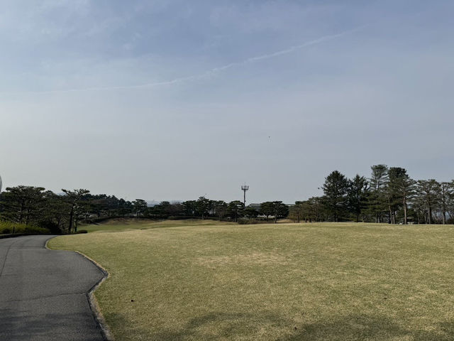 은화삼cc 라운딩