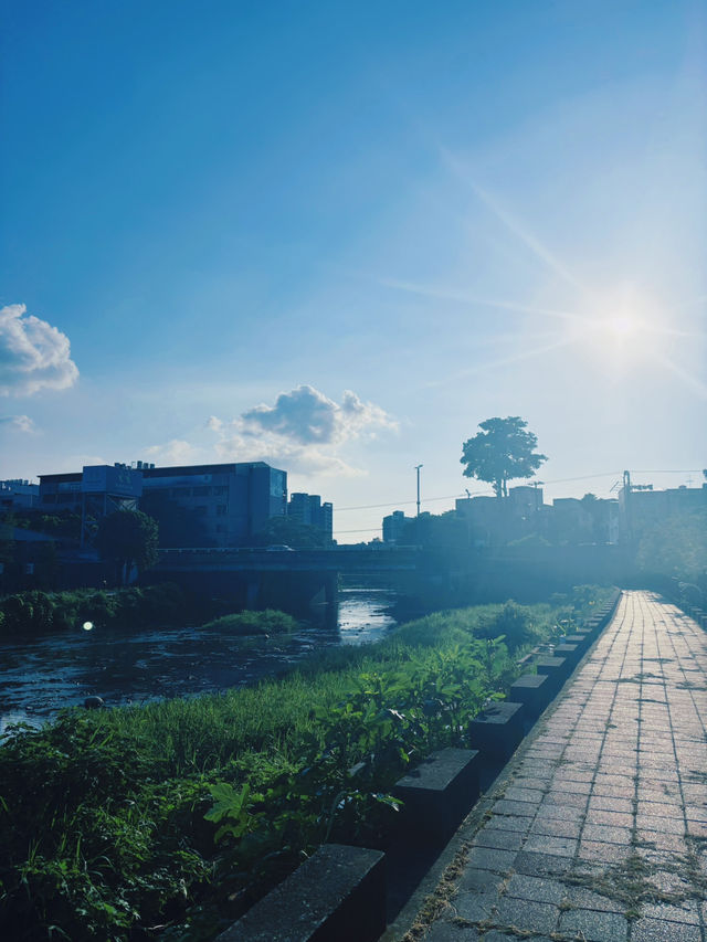 🌳竹北兒18公園｜綠意中的親子天堂，滑梯草地一次擁有！