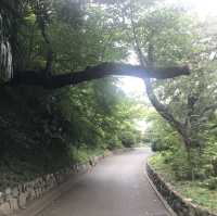【文京区関口　音羽　鳩山会館、永青文庫美術館、肥後細川庭園】