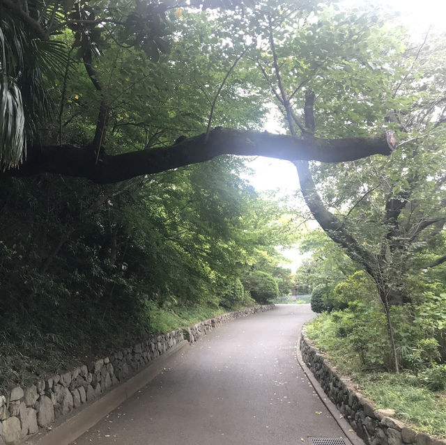 【文京区関口　音羽　鳩山会館、永青文庫美術館、肥後細川庭園】