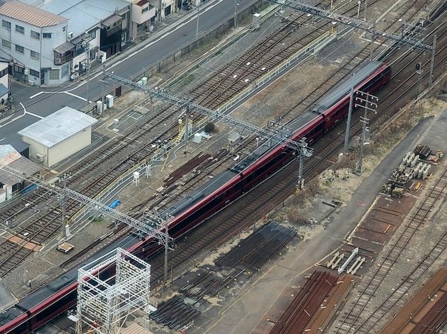 스카이 다이닝 텐구(Sky Dining 天空) ストロベリーアフタヌーンティー(딸기애프터눈티)